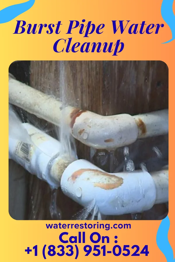 Burst Pipe Water Cleanup in Spring Branch, TX