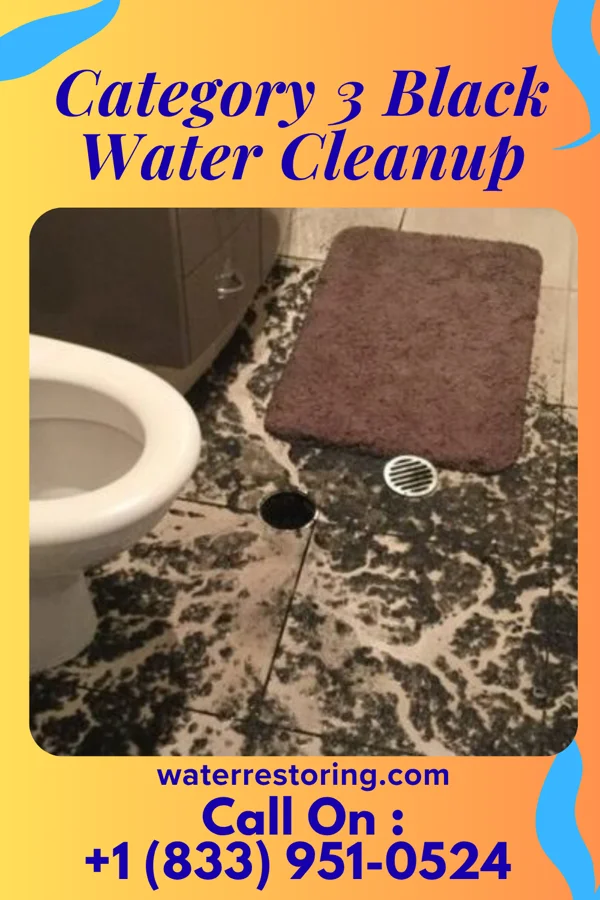 Category 3 Black Water Cleanup in Spring Branch, TX