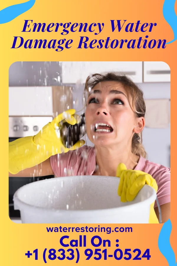 Emergency Water Damage Restoration in Spring Branch, TX